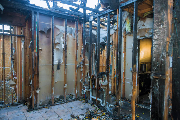 Professional Fire Damage Removal technician working in Downing, WI